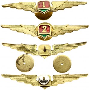 Soviet Lithuanian Civil Aviation Pilot Qualification Badge (1960)  Classes 1 and 2. Bras. Enamel. Weight approx: 22...