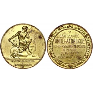 Russia Medal (1900) of the Imperial Don-Kuban-Tersk Agriculture. Early XX century Unknown workshop...