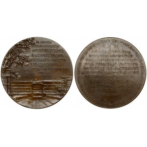 Russia Medal (1904...