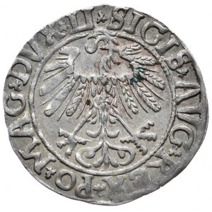 Zygmunt II August, półgrosz 1558, Wilno, LI/LITVA