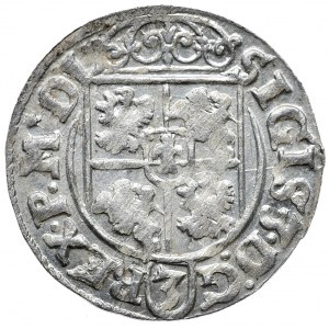 Zygmunt III Waza, półtorak 1619, Bydgoszcz, połysk