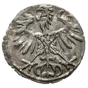 Zygmunt II August, denar 1553, Wilno