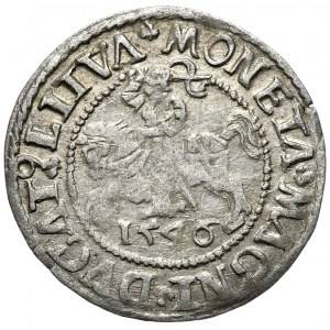 Zygmunt II August, półgrosz 1546, Wilno, L/LITVA, trefl pod cyfrą 9