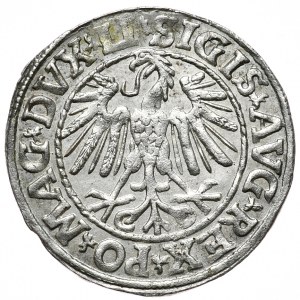 Zygmunt II August, półgrosz 1547, Wilno, LI/LITVA, mała cyfra 5 w dacie
