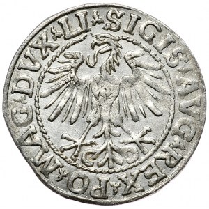 Zygmunt II August, półgrosz 1548, Wilno, LI/LITVA, rzymska cyfra I w dacie.