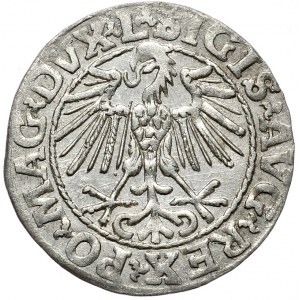 Zygmunt II August, półgrosz 1548, Wilno, L/LITVA, arabska cyfra I w dacie.