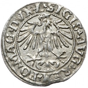 Zygmunt II August, półgrosz 1549, Wilno, L/LITVA,