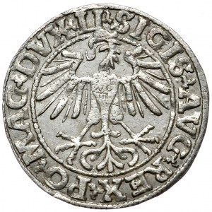 Zygmunt II August, półgrosz 1550, Wilno, LI/LITVA,