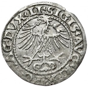 Zygmunt II August, półgrosz 1552, Wilno, LI/LITVA, nieopisany