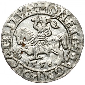 Zygmunt II August, półgrosz 1558, Wilno, LI/LITVA
