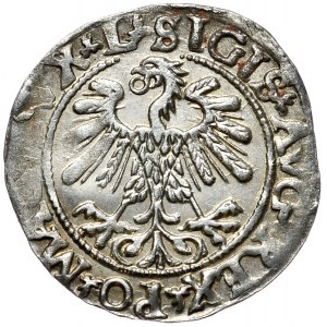 Zygmunt II August, półgrosz 1559, Wilno, L/LITVA, A bez poprzeczek na stronie z Pogonią