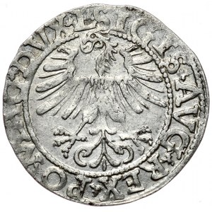 Zygmunt II August, półgrosz 1562, Wilno, L/LITV