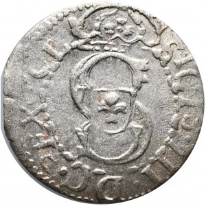 Zygmunt III Waza, szeląg 1612, Ryga, przebitka błędu w dacie