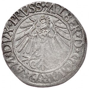 Prusy Książęce, Albrecht Hohenzollern, grosz 1544, Królewiec, szeroka broda