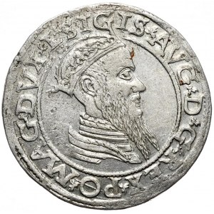 Zygmunt II August, czworak 1565, Wilno, L/LITV