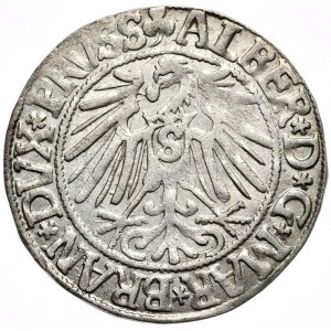 Prusy Książęce, Albrecht Hohenzollern, grosz 1543, Królewiec