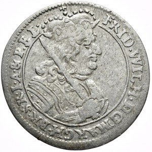 Prusy (księstwo), Fryderyk Wilhelm, ort 1679 HS, Królewiec, rzadszy rocznik