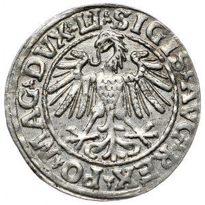 Zygmunt II August, półgrosz 1547, Wilno, LI/LITVA, duża cyfra 5 w dacie