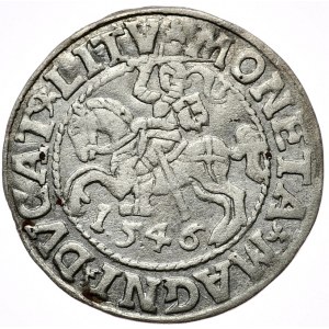 Zygmunt II August, półgrosz 1546, Wilno, L/LITV, rycerz bez ostrogi