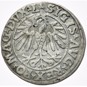 Zygmunt II August, półgrosz 1546, Wilno, L/LITV, rycerz bez ostrogi