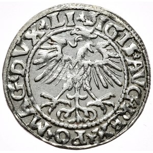 Zygmunt II August, półgrosz 1552, Wilno, LI/LITVA, data wyżej