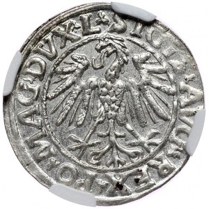 Zygmunt II August, półgrosz 1547, Wilno, L/LITVA, rzymska cyfra w dacie