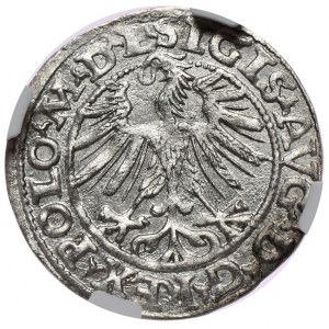 Zygmunt II August, półgrosz 1563, Wilno, M D L/LIT