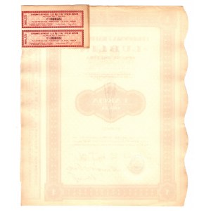 Cukrownia i Rafineria LUBLIN S.A. - 100 złotych 1925