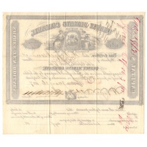 USA - Quincy mining company 10 $ 1877