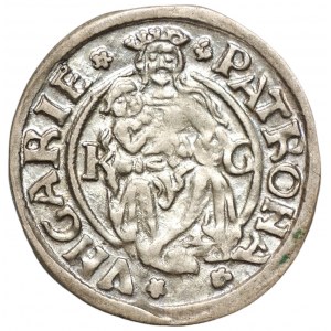 WĘGRY - Władysław II - Denar 1509