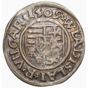 WĘGRY - Władysław II - Denar 1509