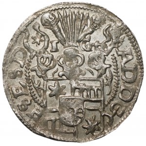 Schleswig-Holstein-Schauenburg - Adolf XIII - 1/24 talara 1595