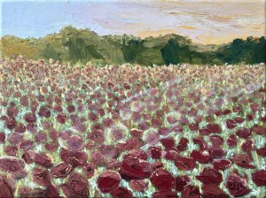 Pervin Ece Yakacik Leczycki (ur. 1991), Flower field, 2018