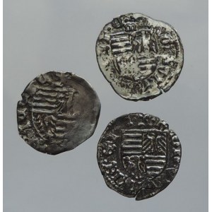 Zikmund Lucemburský 1387-1437, denár