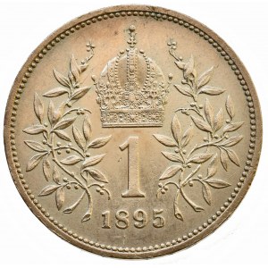 Korunová měna, 1 kor. 1895 b.z.