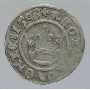 Polsko, Zikmund I. 1506-1548, 1/2 groš 1509