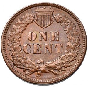 USA, 1 cent 1887 - Indián
