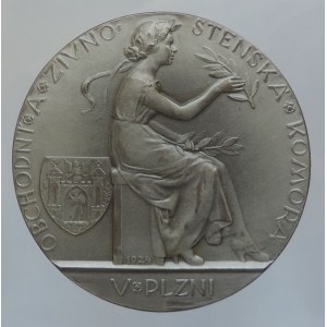Medaile dle autorů, Šejnost, J., AE 50mm postříbřený bronz, Obchodní a živnostenská komora v Plzni 1924
