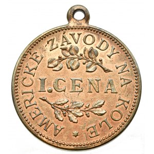 Medaile podle měst, Praha 1908