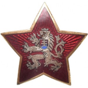 Odznaky, Jiné - Hvězda, Zukov Praha