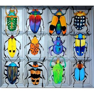 Sylwia Wenska, Entomofobia-Dwanaście żuków, 2020