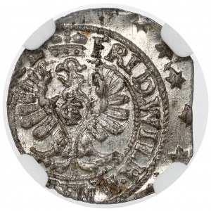 Prusy, Fryderyk Wilhelm, Szeląg Królewiec 1654