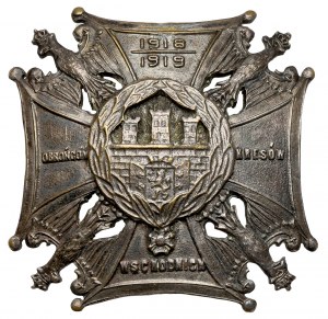 Odznaka, ORLĘTA Obrońcom Kresów 1920 - żołnierska