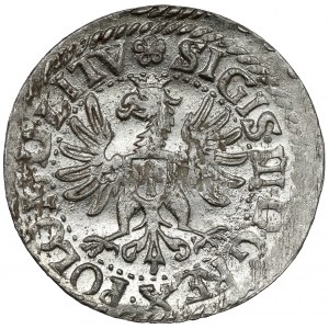 Zygmunt III Waza, Grosz Wilno 1613 - b.rzadki rok