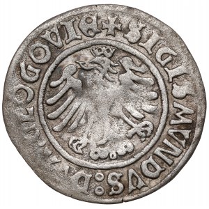 Zygmunt I Stary, Grosz Głogów 1506 - kokarda