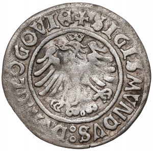 Zygmunt I Stary, Grosz Głogów 1506 - kokarda