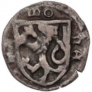 Śląsk, Ks. Opawskie, Halerz Opawa (1460-85) - tarcza