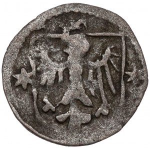 Śląsk, Ks. Głogowskie, Halerz Kożuchów (1483-88) - gwiazdy