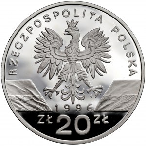 20 złotych 1996 Jeż