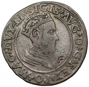 Zygmunt II August, Czworak Wilno 1568